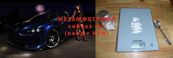 хмурый Бикин
